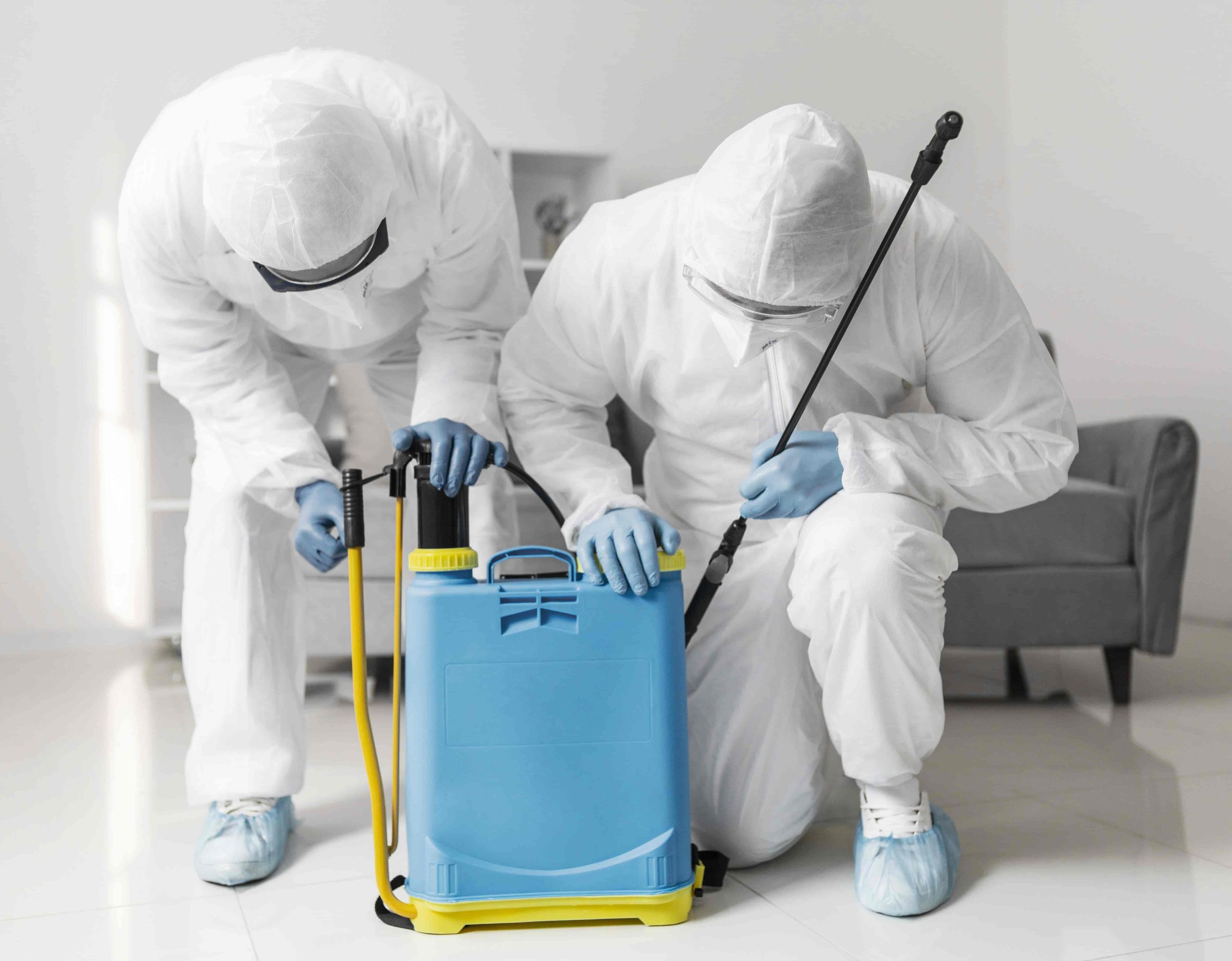 Disinfection Services