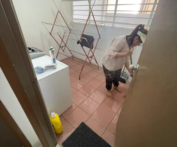 Basic Deep Cleaning 13