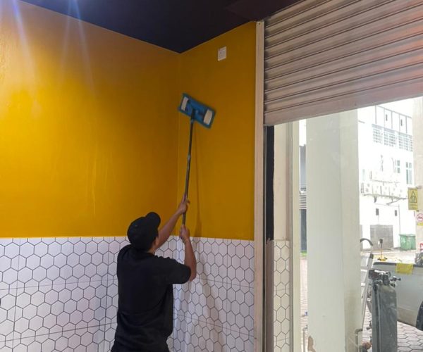 Basic Deep Cleaning 2