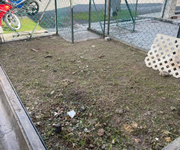 Mesin dan Meracun Rumput 3